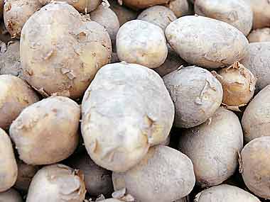 Govt-cuts-import-duty-on-wheat-potato-palm-oils Govt-cuts-import-duty-on-wheat-potato-palm-oils