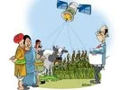 Satellite mapping to boost dairy farming Satellite mapping to boost dairy farming