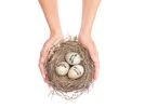 mutual fund, tax, insurance, saving, invest, bank mutual fund, tax, insurance, saving, invest, bank