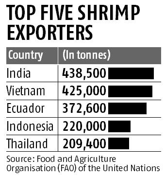 India largest seafood exporter in 2016: FAO India largest seafood exporter in 2016: FAO