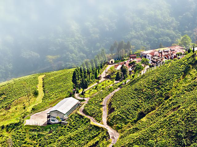 holiday destinations in India. Why exploring Darjeeling should be on your bucket list!