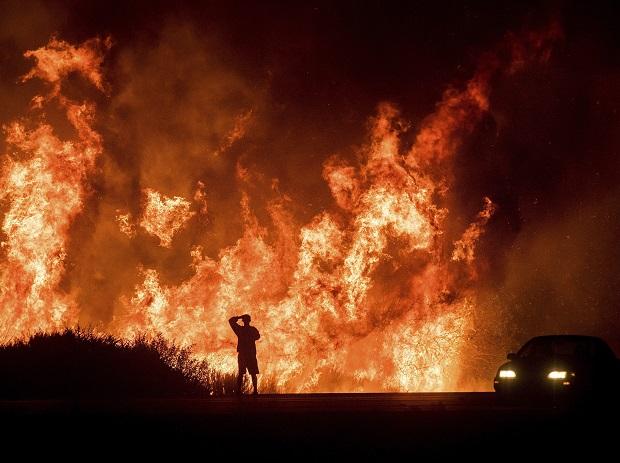 A motorists on Highway 101 watches flames from the Thomas fire leap above the roadway north of Ventura, California. Photo: PTI A motorists on Highway 101 watches flames from the Thomas fire leap above the roadway north of Ventura, California. Photo: PTI