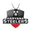 What is Haryana Steelers What is Haryana Steelers
