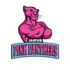 What is Jaipur Pink Panthers What is Jaipur Pink Panthers