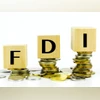 What is Foreign Direct Investment (FDI) What is Foreign Direct Investment (FDI)