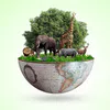 When is World Biodiversity Day? When is World Biodiversity Day?