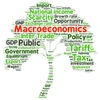 What is Macroeconomics? What is Macroeconomics?