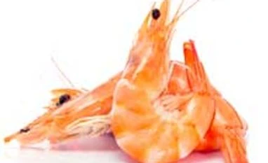 US not to impose countervailing duty on Indian shrimp exports