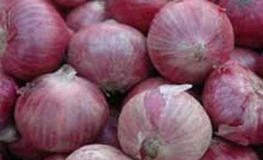 Onion sowing picks up in Maharashtra owing to good rainfall