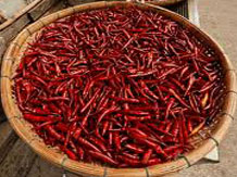 Red chilli pepper prices surge on crop damage in top exporter India Red chilli pepper prices surge on crop damage in top exporter India