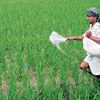 Nagarjuna Agrichem to focus on domestic market