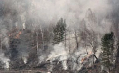 Govt eases more environmental rules, makes project execution easier