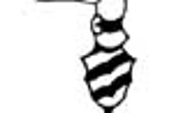 The Strategist Quiz (#302)