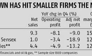 No sign of green shoots as yet