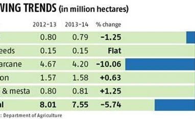 Paddy sowing sees a spurt across the country