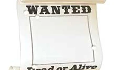 Diary of a terribly good looking fugitive