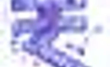 Symbolic issues Rupee symbol