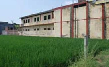 Are raw wool barons pulling wool over NSEL eyes?