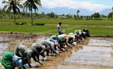 Kharif sowing shows signs of revival, but still a long way to go