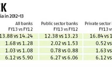 Capital ratio dips, profit falls, bad loans rise in FY13