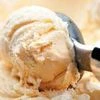 Hatsun Agro plans Rs 450 cr expansion of ice cream, dairy capacity