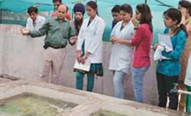 Small players in Punjab opt to reduce carbon footprint