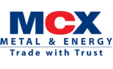 MCX wins Best Commodity Exchange award MCX