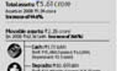 Politician's asset check