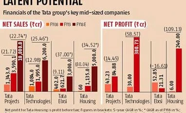 Hidden jewels get a polish at Tata group