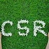 Companies spent Rs 16.51 billion towards CSR works in Odisha