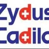 Zydus Cadila completes single rising dose phase I studies for anaemia drug