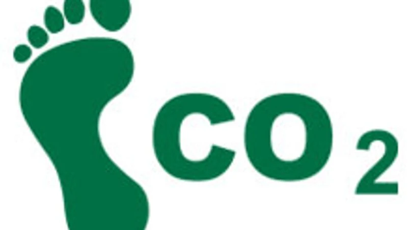 Economy Survey suggests a shift from carbon subsidy to carbon tax regime Economy Survey suggests a shift from carbon subsidy to carbon tax regime