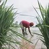 Tamil Nadu tops with 32% decadal growth in irrigation investments: Assocham report