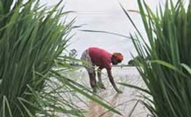 Take works under 'Jalyukta Shivar' on priority: Hansraj Ahir Take works under 'Jalyukta Shivar' on priority: Ahir