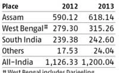 Dry spell could mar Darjeeling tea