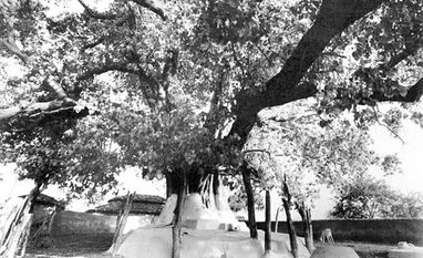 Subramanian panel report on environment laws: Mischief is in details hiding under Umbrella law