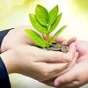 CSR: An equal responsibility of SMEs