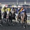 Dubai World Cup