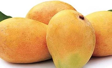 Efforts on to resolve EU ban on import of Indian mangoes: Govt