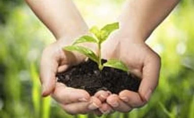 Focus where it matters