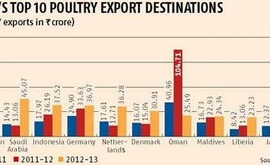 EU lifts ban on poultry imports from India
