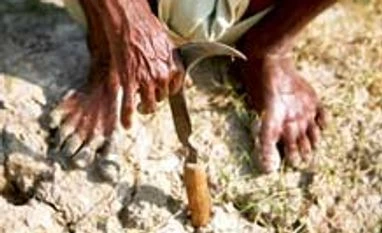 Government calls meet today to discuss low monsoon impact