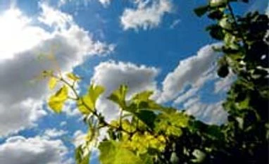 'India's commitments to combat climate change generous' 'India's commitments to combat climate change generous'