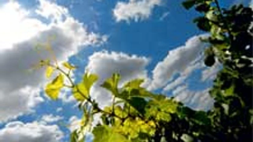 'India's commitments to combat climate change generous' 'India's commitments to combat climate change generous'