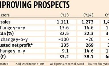 CRISIL among early beneficiaries of capex revival