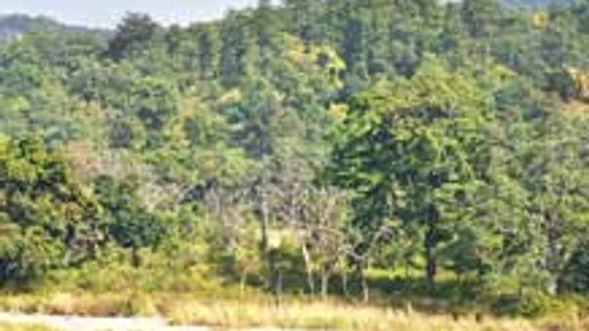 India 'particularly vulnerable' to coal mining: Report India 'particularly vulnerable' to coal mining: Report