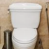 World Toilet Day and the economic imperative of toilets