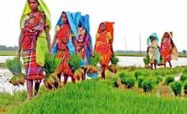 Farm growth: Govt, experts differ on impact of uneven rains