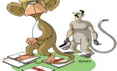 Monkey business: These men are paid to mimic langurs