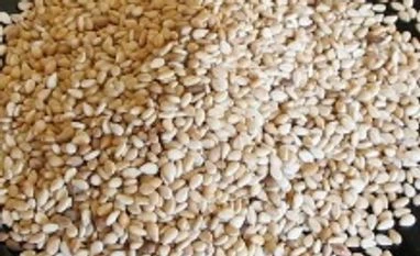 Allergies to sesame more prevalant than previously thought, says report Allergies to sesame more prevalant than previously thought, says report